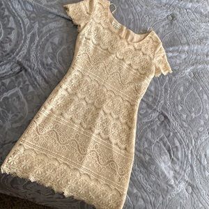 Ann Taylor premium lace dress 8 petite